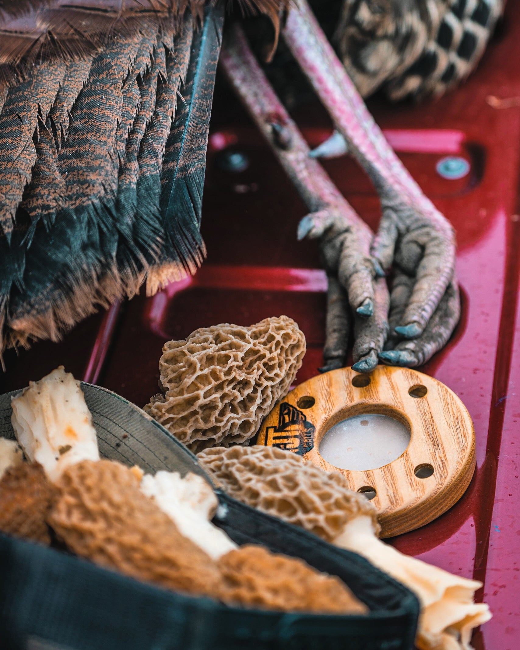 Turkey Calls JTCalls